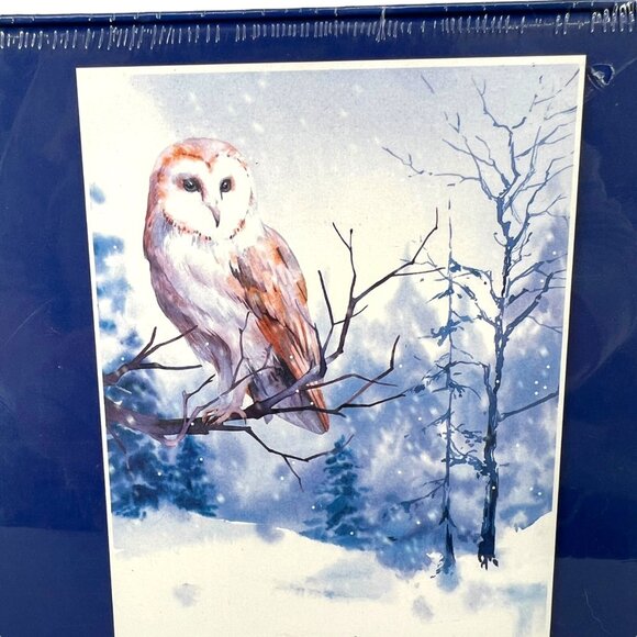 hNCL Barn Owl Winter Snow 1000 Piece Puzzle Age 10+ NIB - Picture 2 of 11